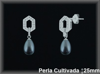 Pendientes Plata al por mayor ref R8496G Mayoristas Plata al por Mayor