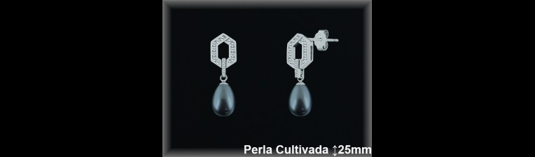 Pendientes Plata al por mayor ref R8496G Mayoristas Plata al por Mayor