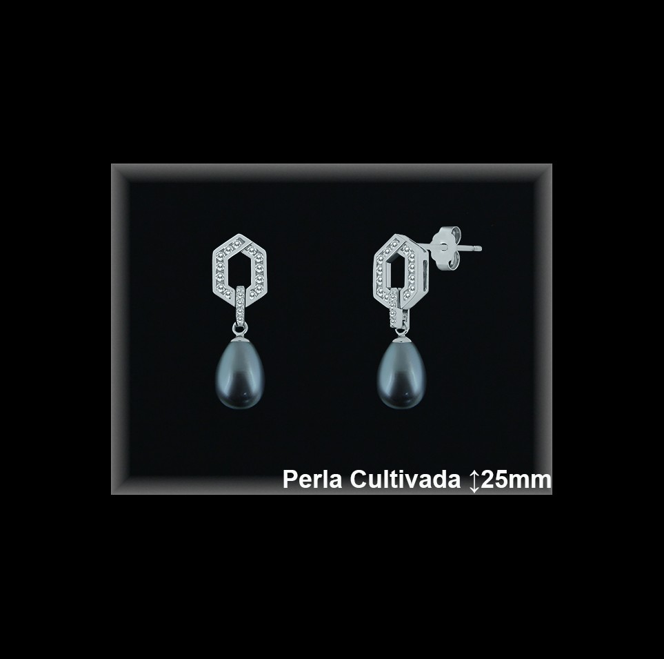 Pendientes Plata al por mayor ref R8496G Mayoristas Plata al por Mayor