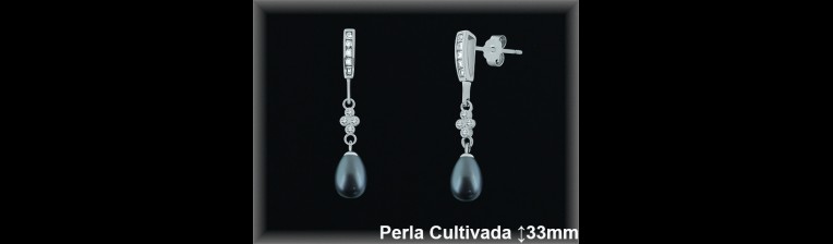 Pendientes Plata al por mayor ref R8502G Mayoristas Plata al por Mayor