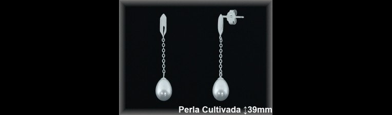 Pendientes Plata al por mayor ref R8579 Mayoristas Plata al por Mayor