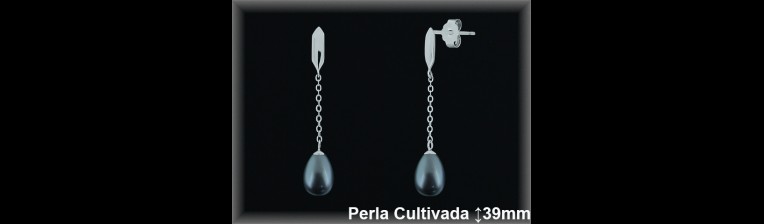 Pendientes Plata al por mayor ref R8579G Mayoristas Plata al por Mayor