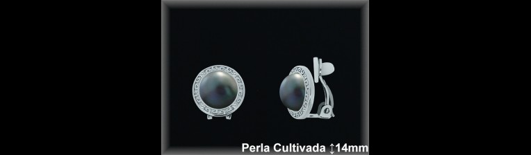 Pendientes Plata al por mayor ref R8303G Mayoristas Plata al por Mayor