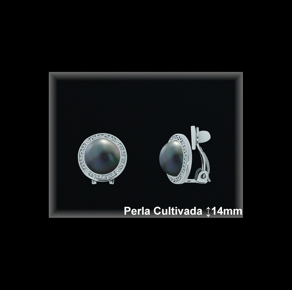 Pendientes Plata al por mayor ref R8303G Mayoristas Plata al por Mayor