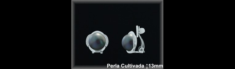Pendientes Plata al por mayor ref R8304G Mayoristas Plata al por Mayor