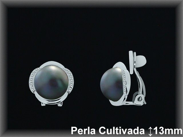 Pendientes Plata al por mayor ref R8304G Mayoristas Plata al por Mayor Pendientes Plata al por mayor ref R8304G Mayoristas Plata al por Mayor