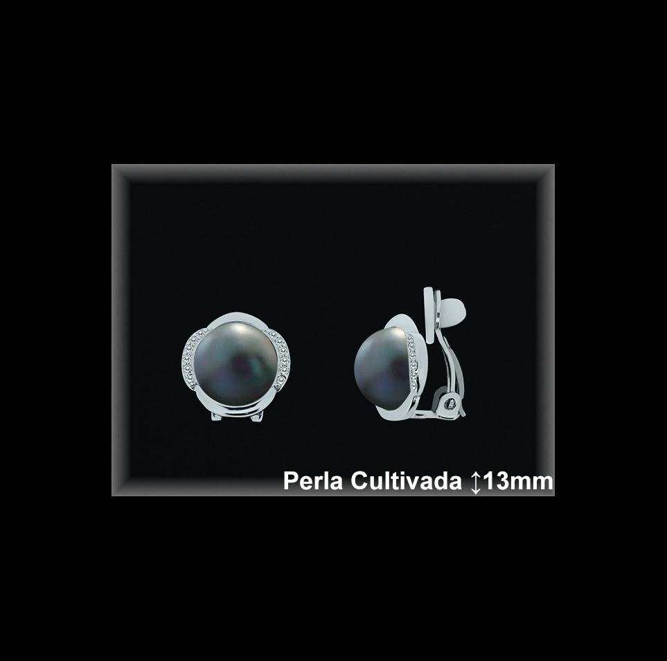 Pendientes Plata al por mayor ref R8304G Mayoristas Plata al por Mayor