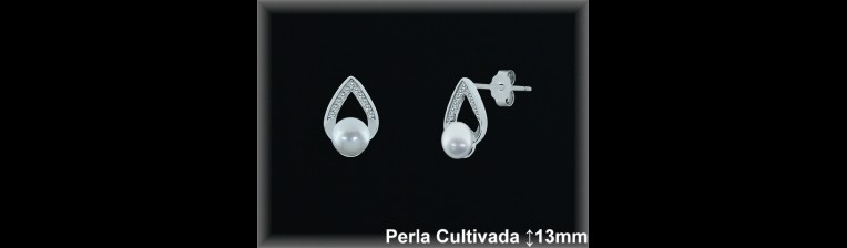 Pendientes Plata al por mayor ref R8672 Mayoristas Plata al por Mayor