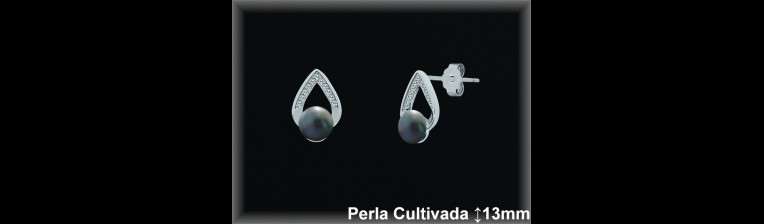 Pendientes Plata al por mayor ref R8672G Mayoristas Plata al por Mayor