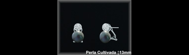 Pendientes Plata al por mayor ref R8671G Mayoristas Plata al por Mayor