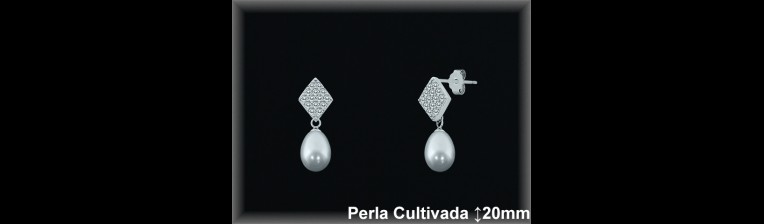 Pendientes Plata al por mayor ref R8681 Mayoristas Plata al por Mayor