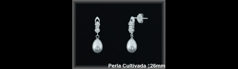 Pendientes Plata al por mayor ref R487 Mayoristas Plata al por Mayor