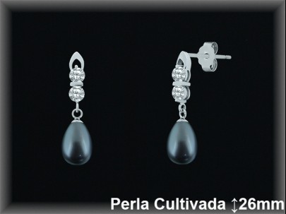 Pendientes Plata al por mayor ref R8487G Mayoristas Plata al por Mayor