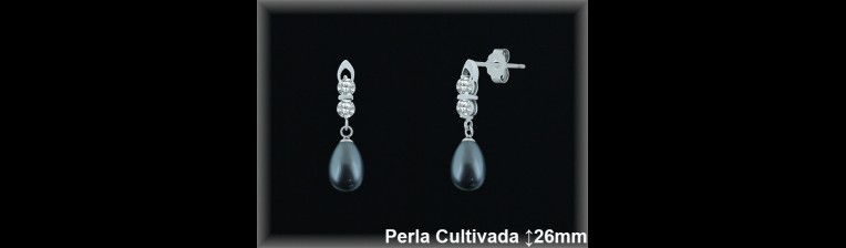Pendientes Plata al por mayor ref R8487G Mayoristas Plata al por Mayor