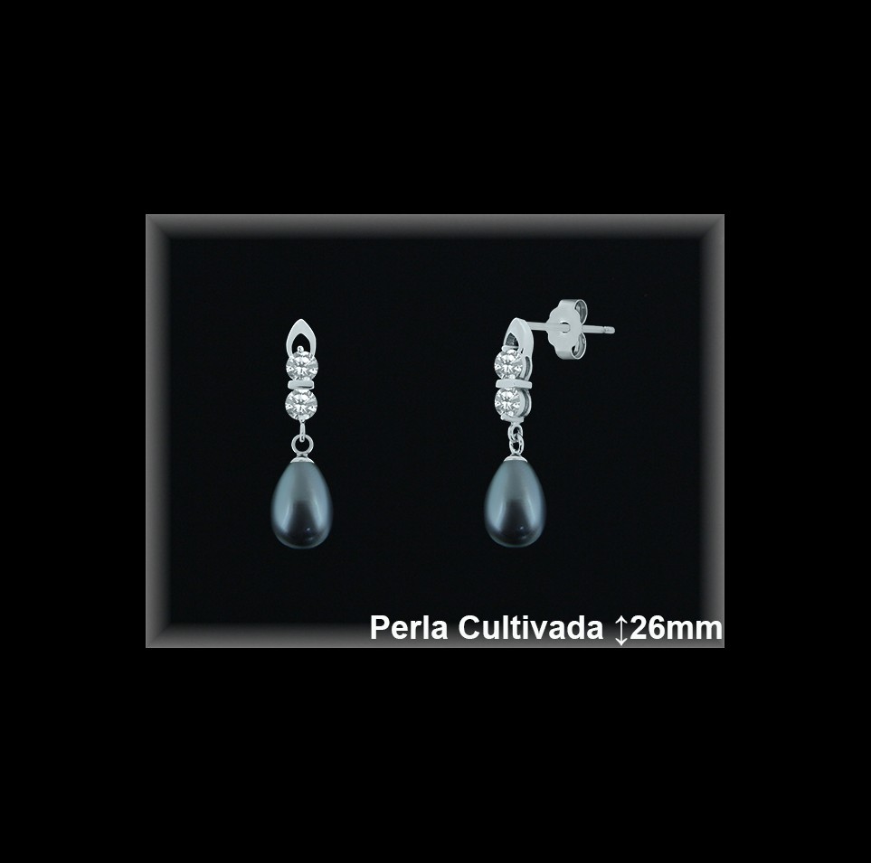 Pendientes Plata al por mayor ref R8487G Mayoristas Plata al por Mayor