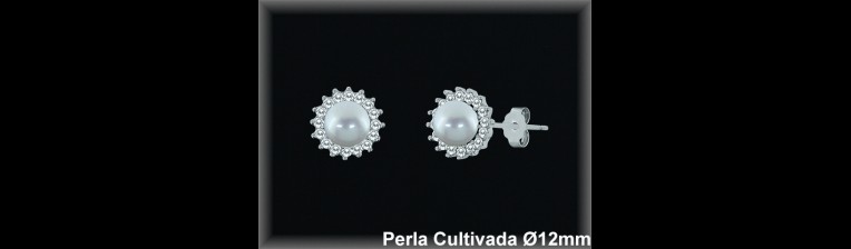 Pendientes Plata al por mayor ref R8508 Mayoristas Plata al por Mayor