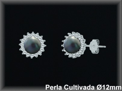 Pendientes Plata al por mayor ref R8508G Mayoristas Plata al por Mayor
