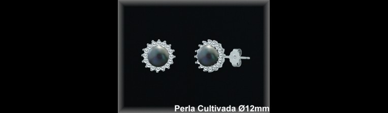 Pendientes Plata al por mayor ref R8508G Mayoristas Plata al por Mayor
