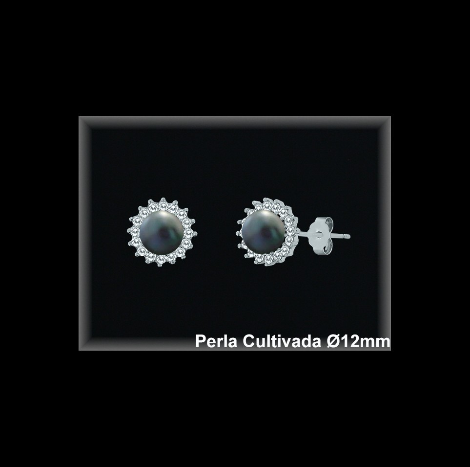 Pendientes Plata al por mayor ref R8508G Mayoristas Plata al por Mayor