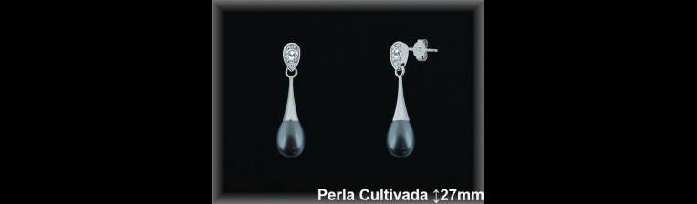 Pendientes Plata al por mayor ref R8512G Mayoristas Plata al por Mayor