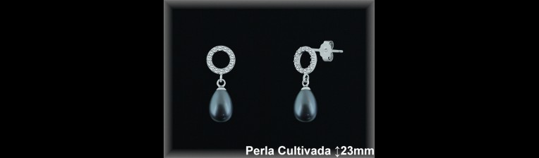 Pendientes Plata al por mayor ref R8517G Mayoristas Plata al por Mayor