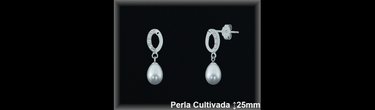 Pendientes Plata al por mayor ref R8521 Mayoristas Plata al por Mayor