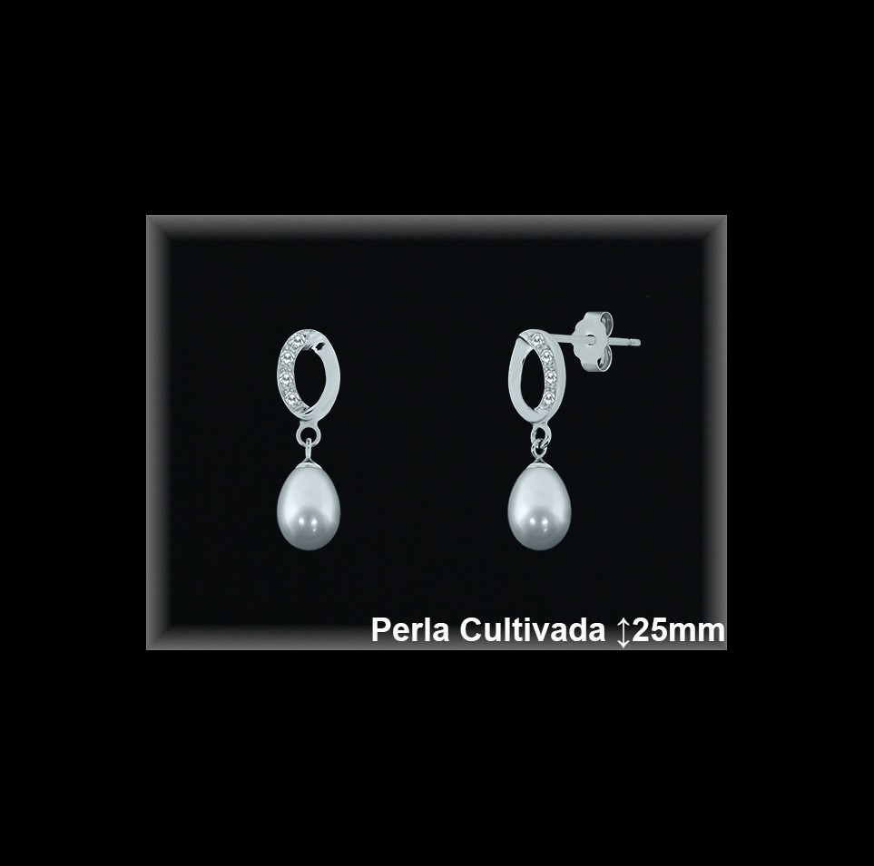Pendientes Plata al por mayor ref R8521 Mayoristas Plata al por Mayor