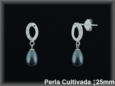 Pendientes Plata al por mayor ref R8521G Mayoristas Plata al por Mayor