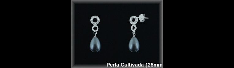 Pendientes Plata al por mayor ref R8546G Mayoristas Plata al por Mayor