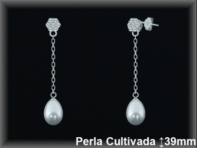 Pendientes Plata al por mayor ref R8639 Mayoristas Plata al por Mayo