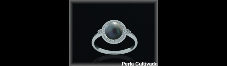 Anillos Plata al por mayor ref 3Z013G. Mayoristas Plata al por Mayor