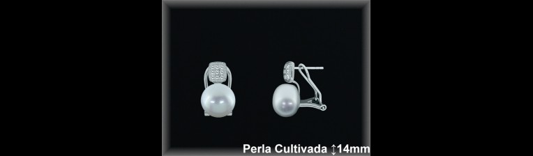 Pendientes Plata al por mayor ref R8613 Mayoristas Plata al por Mayor