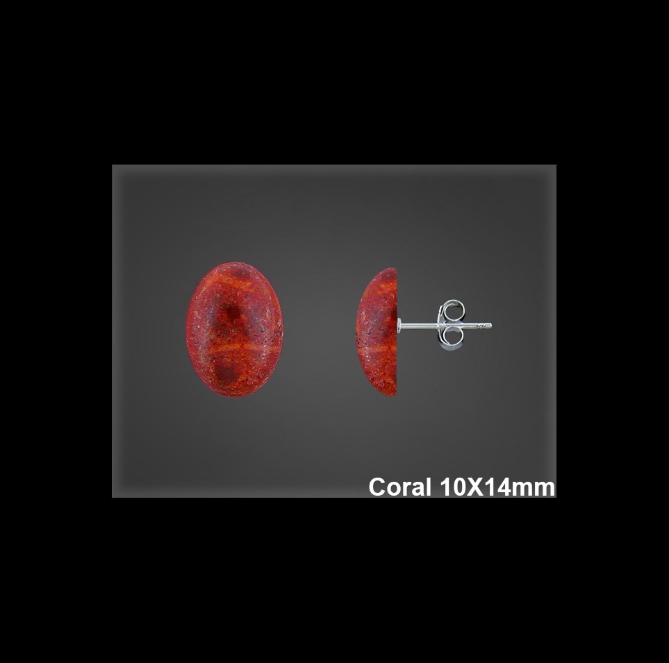 Mayorista de Plata en Pendientes ref M8548  Pendientes de Plata al por Mayor