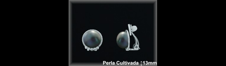 Pendientes de Plata al Por Mayor ref R8301G  Mayorista de pendientes de Plata