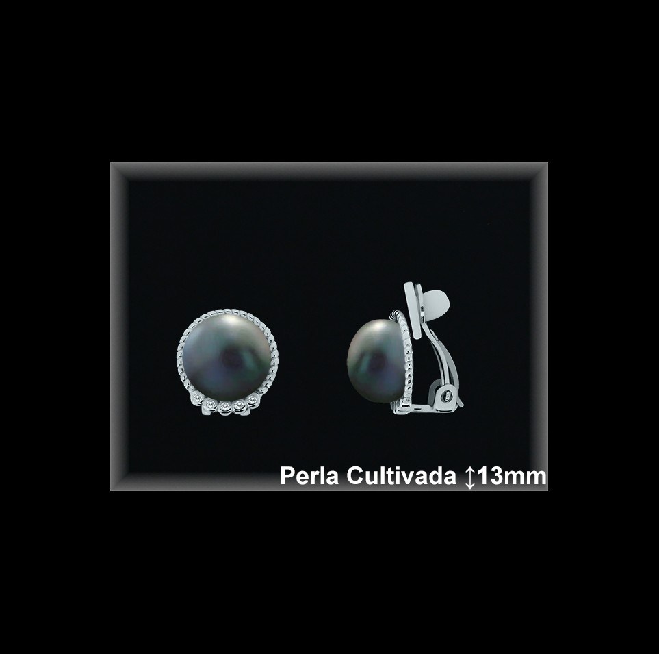 Pendientes de Plata al Por Mayor ref R8301G  Mayorista de pendientes de Plata