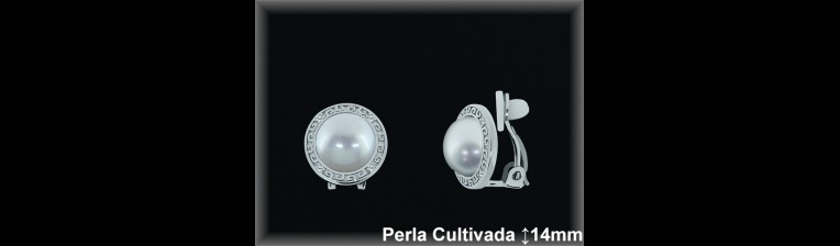 Pendientes de Plata al Por Mayor ref R8303  Mayorista de pendientes de Plata