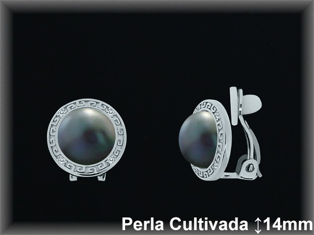 Pendientes de Plata al Por Mayor ref R8303G  Mayorista de pendientes de Plata
