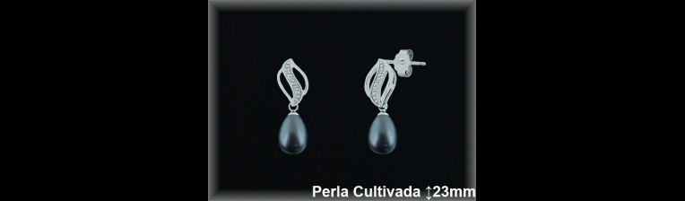 Pendientes de Plata al Por Mayor ref R8486G  Mayorista de pendientes de Plata