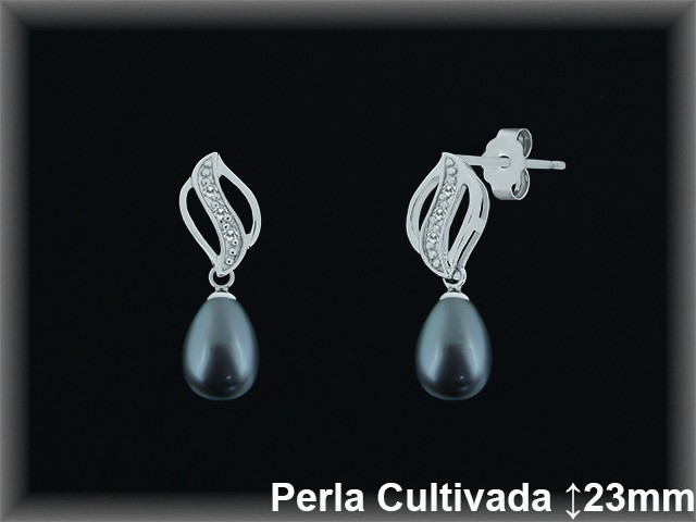 Pendientes de Plata al Por Mayor ref R8486G  Mayorista de pendientes de Plata
