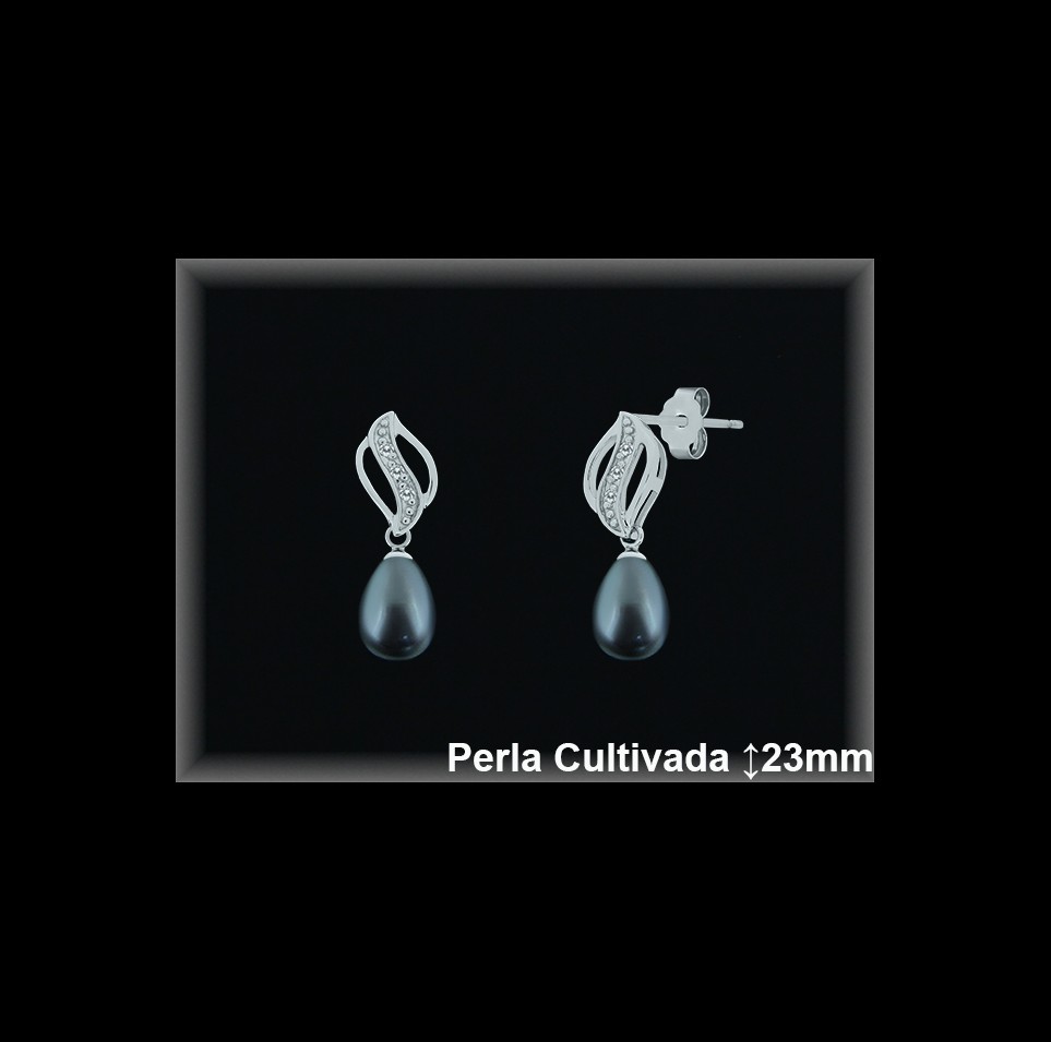 Pendientes de Plata al Por Mayor ref R8486G  Mayorista de pendientes de Plata
