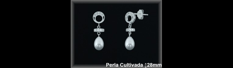 Pendientes de Plata al Por Mayor ref R8495  Mayorista de pendientes de Plata