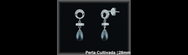 Pendientes de Plata al Por Mayor ref R8495G  Mayorista de pendientes de Plata