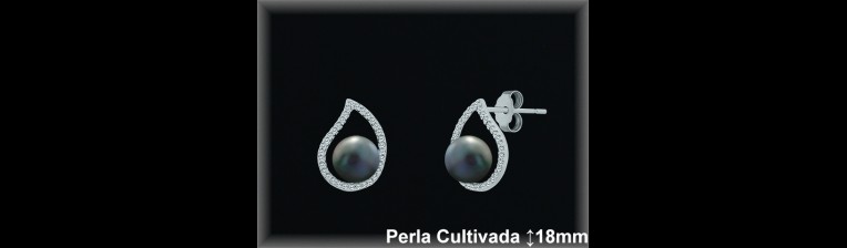 Pendientes de Plata al Por Mayor ref R8504G  Mayorista de pendientes de Plata