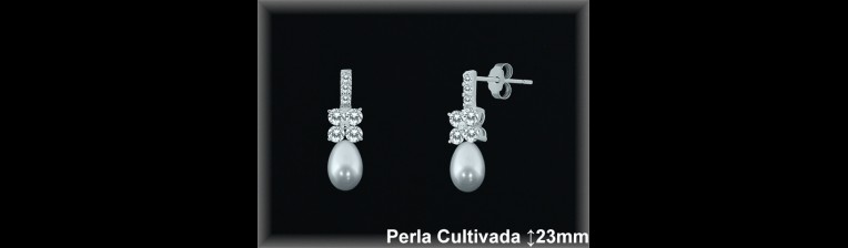 Pendientes de Plata al Por Mayor ref R8511  Mayorista de pendientes de Plata