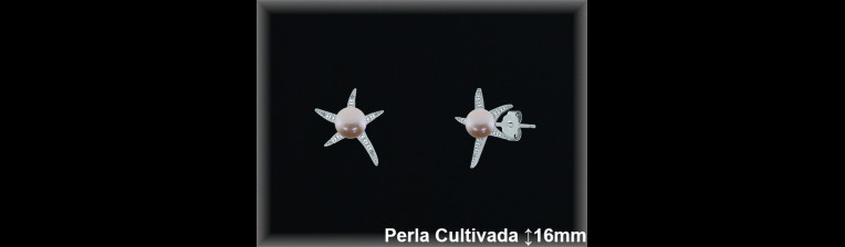 Pendientes de Plata al Por Mayor ref R8565C  Mayorista de pendientes de Plata