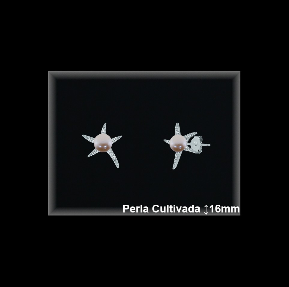 Pendientes de Plata al Por Mayor ref R8565C  Mayorista de pendientes de Plata