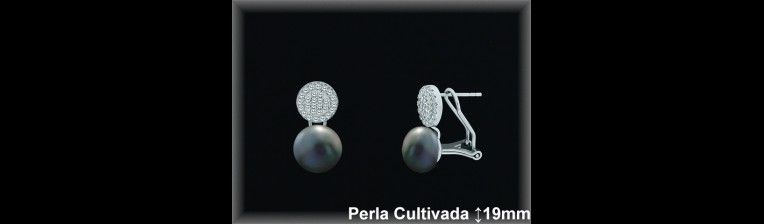 Pendientes de Plata al Por Mayor ref R8601G  Mayorista de pendientes de Plata