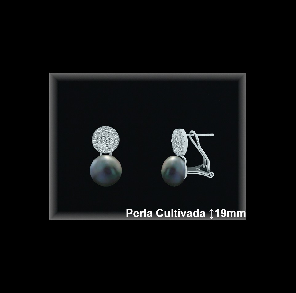 Pendientes de Plata al Por Mayor ref R8601G  Mayorista de pendientes de Plata