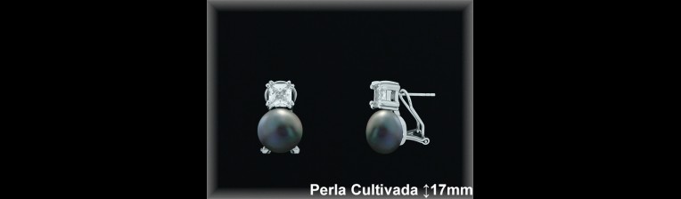 Pendientes de Plata al Por Mayor ref R8602G  Mayorista de pendientes de Plata