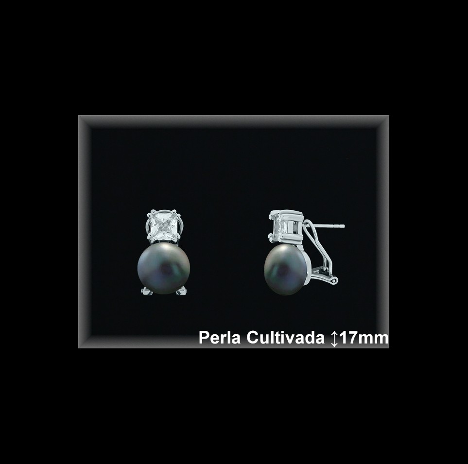 Pendientes de Plata al Por Mayor ref R8602G  Mayorista de pendientes de Plata